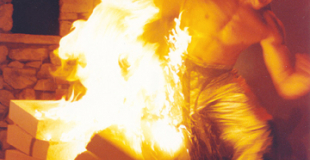 Arts Martiaux Artistiques - Zen Arts Show