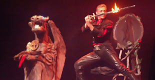 Spectale de magie tout public avec perroquets