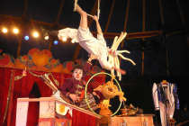Le Cirque ! de Mobylette et Pastaga
