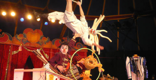 Le Cirque ! de Mobylette et Pastaga