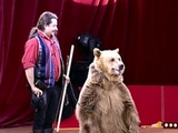 Montreur d'Ours