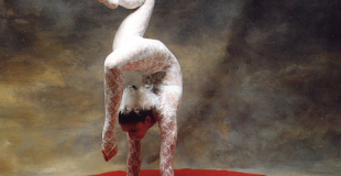 Solo de Contorsion - Séverine Bellini