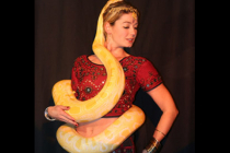 Charmeuse de serpents