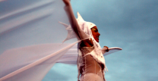 Echassiers Colorius Cie