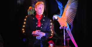 Spectale de magie tout public avec perroquets