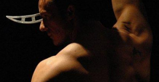 Arts Martiaux Artistiques - Zen Arts Show