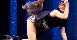 Dressage de poules (photo : D.Pallagès)