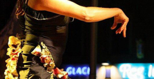 Gipsy Flamenco : danseuses et musiciens de flamenco