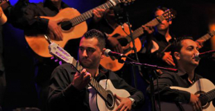 Gipsy Flamenco : danseuses et musiciens de flamenco