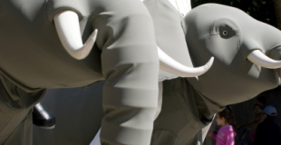 Animation déambulatoire Les Zélé'Phantastiks