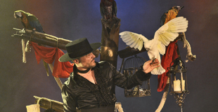 Magie des oiseaux et du feu