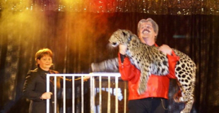 Magie avec animaux et grandes illusions