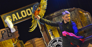 Magie des oiseaux et du feu