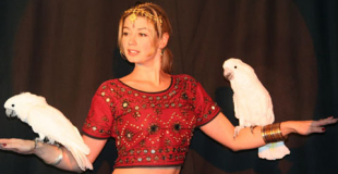 Animation perroquets