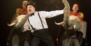 Les éléphants du cabaret burlesque tout public