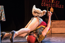 Dressage de poules (photo : Marion Sciuto)