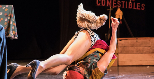 Dressage de poules (photo : Marion Sciuto)