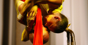 Duo acrobatique aérien