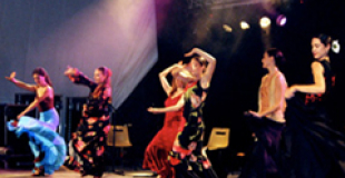Flamenco