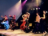 Flamenco