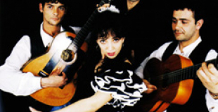 Flamenco