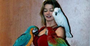 Animation perroquets