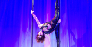 Doubles mâts chinois