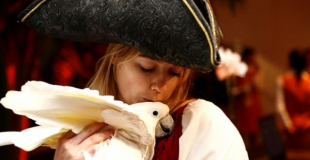 Animation perroquets