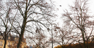 Spectacle déambulatoire