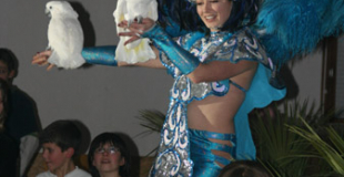 Animation perroquets