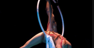 Numéros aériens pour le Congrés National des Sapeurs Pompiers (37)