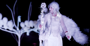 Spectacle d'échassiers lumineux pour les festivités de Noël (67)