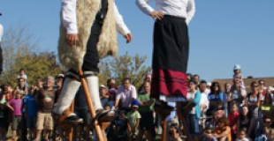 Echassiers landais pour animer un déjeuner champêtre (33)