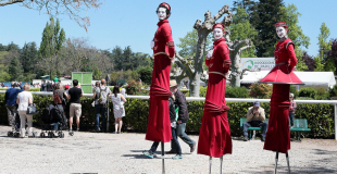 Acrobates et échassiers en animation de Garden Party (69)