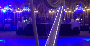 Ambiance d'animation harpe à l'hôtel Intercontinental (75)