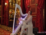Ambiance d'animation harpe à l'hôtel Intercontinental (75)