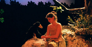 Spectacle pédagogique sur l'environnement